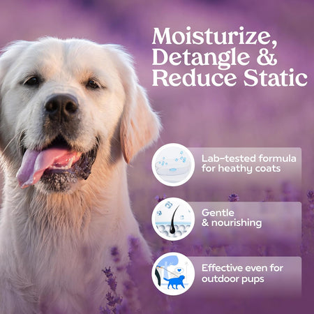 Grooming Spray Dog Spray Deodorizer Perfume for Dogs - Dog Cologne Spray Long Lasting Dog Sprays - Dog Perfume Spray Long Lasting after Bath- Dog Deodorizing Spray (Lavender)